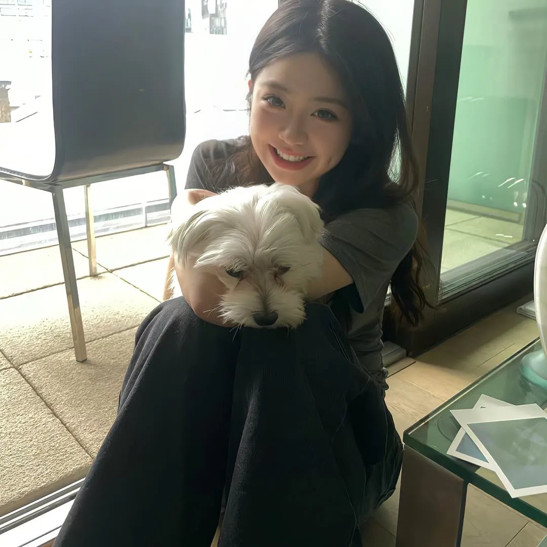 智叻狗仔队
